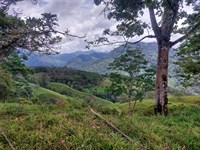 Whispering Trail Farms : Chirripo : Costa Rica