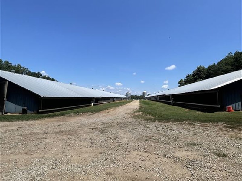 Pilgrim Broiler Farm on 27 Acres : Danielsville : Madison County : Georgia