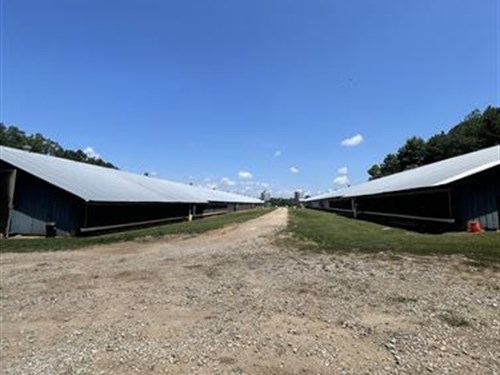 Pilgrim Broiler Farm on 27 Acres : Danielsville : Madison County : Georgia