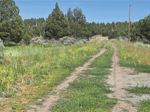 1.47 Acres in Modoc, CA : Alturas : Modoc County : California