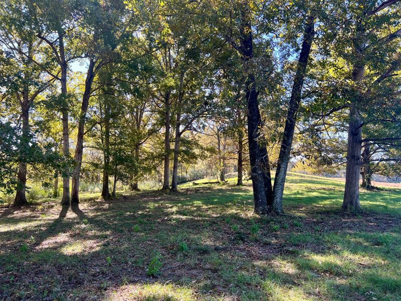 G6 Farms, Tract 4 : Troy : Pike County : Alabama