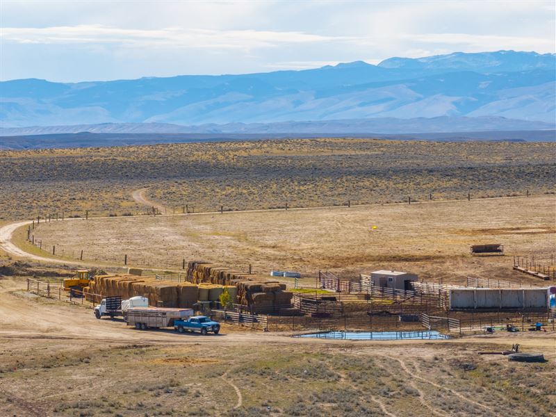 365 Cattle : Riverton : Fremont County : Wyoming