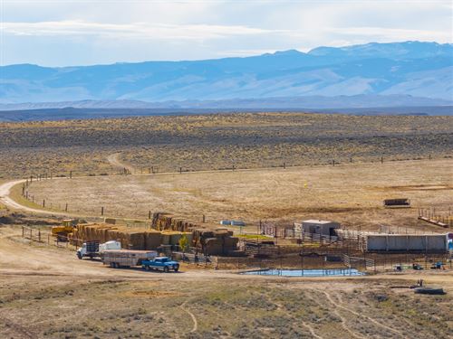 365 Cattle : Riverton : Fremont County : Wyoming