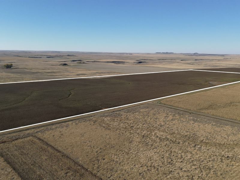 Adams County 460 : Reeder : Adams County : North Dakota