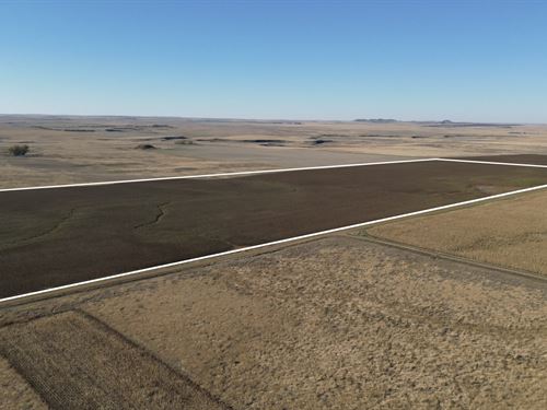 Adams County 460 : Reeder : Adams County : North Dakota