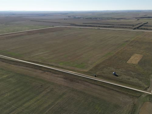 Chanta Peta Quarter : Reeder : Adams County : North Dakota