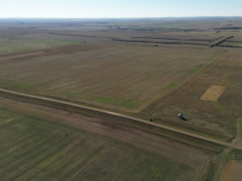 Chanta Peta Quarter : Reeder : Adams County : North Dakota