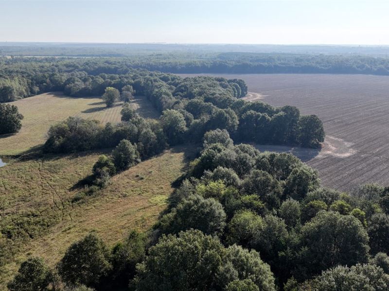 Oktibbeha County, 237 Artesia Road : Starkville : Oktibbeha County : Mississippi