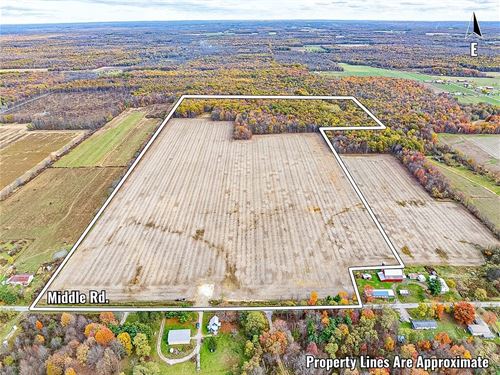 Middle Rd, 87 Acres : Pierpont : Ashtabula County : Ohio