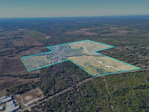 202 Acres in Northwest Florida : East Youngstown : Bay County : Florida
