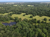 Land for Sale in North Texas : Telephone : Fannin County : Texas