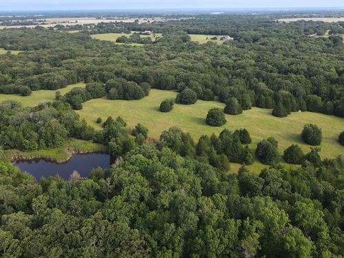 Land for Sale in North Texas : Telephon : Fannin County : Texas