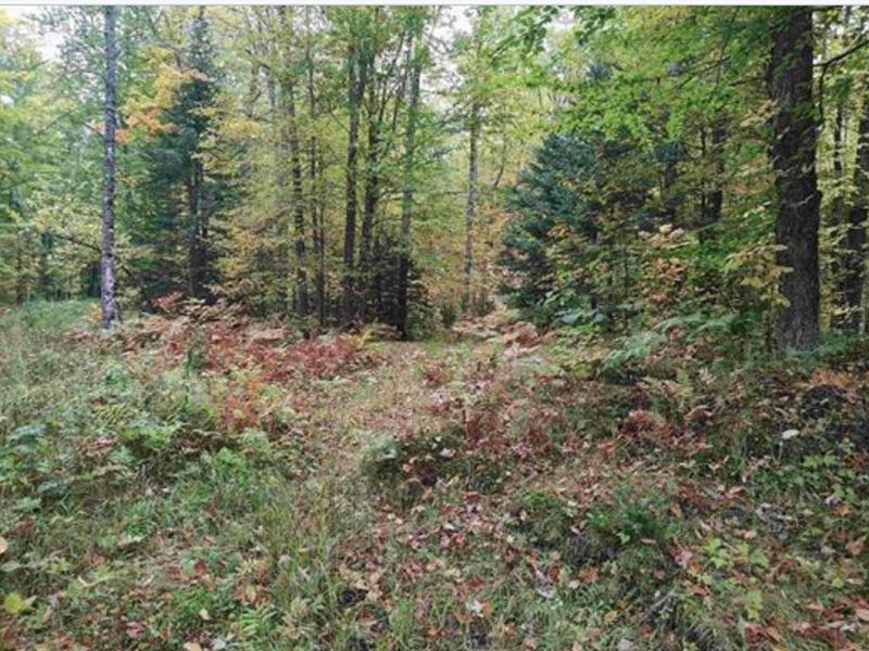 160 Acres with Creek and Pond : Pelkie : Houghton County : Michigan