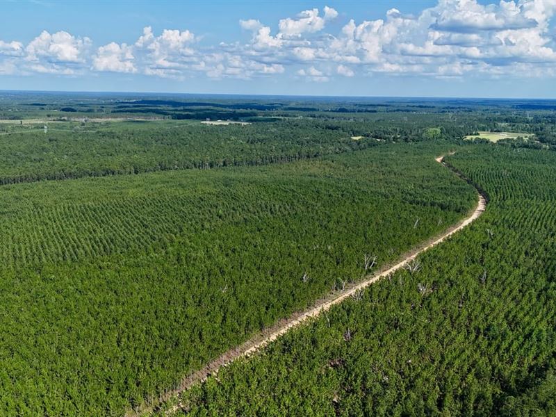 4.734 Acres, Penny Morris Rd : Baxley : Appling County : Georgia