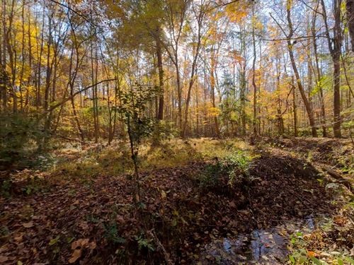 52.31 Acres in Warren County NC : Littleton : Warren County : North Carolina