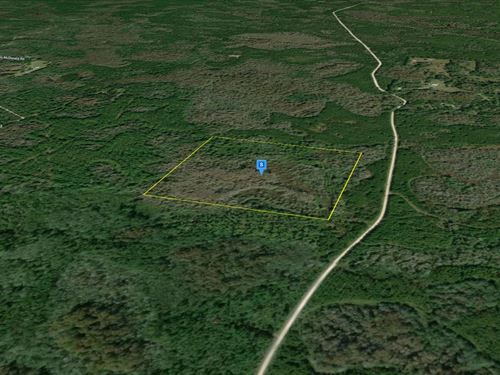 40 Acres in Taylor County FL : Perry : Taylor County : Florida