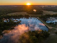 1,135.72 Acres in Quitman, Texas : Quitman : Wood County : Texas