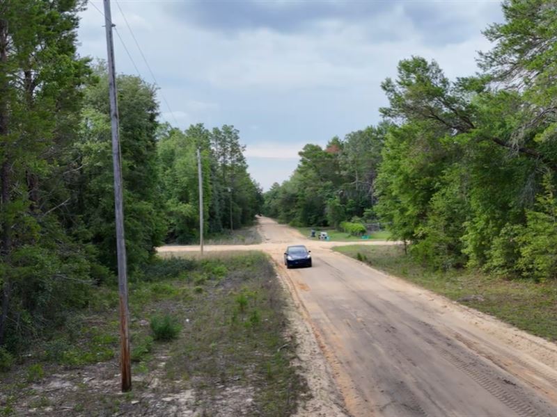 Ready Florida Lot with Power Onsite : Interlachen : Putnam County : Florida