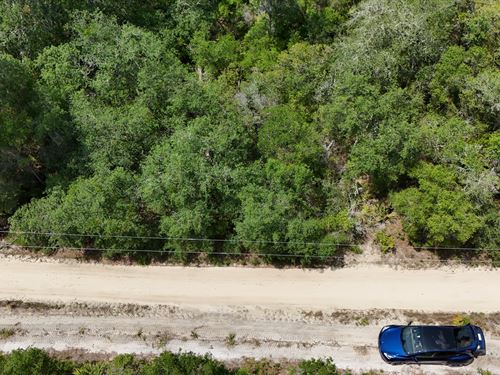 Nature Lovers Dream Location : Fort Mc Coy : Marion County : Florida