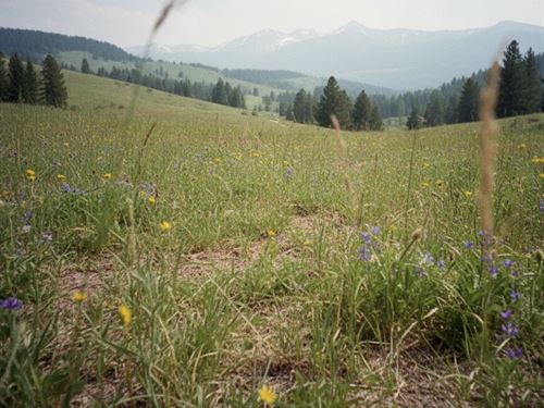 2.61 Acres in Silver Bow MT : Butte : Silver Bow County : Montana