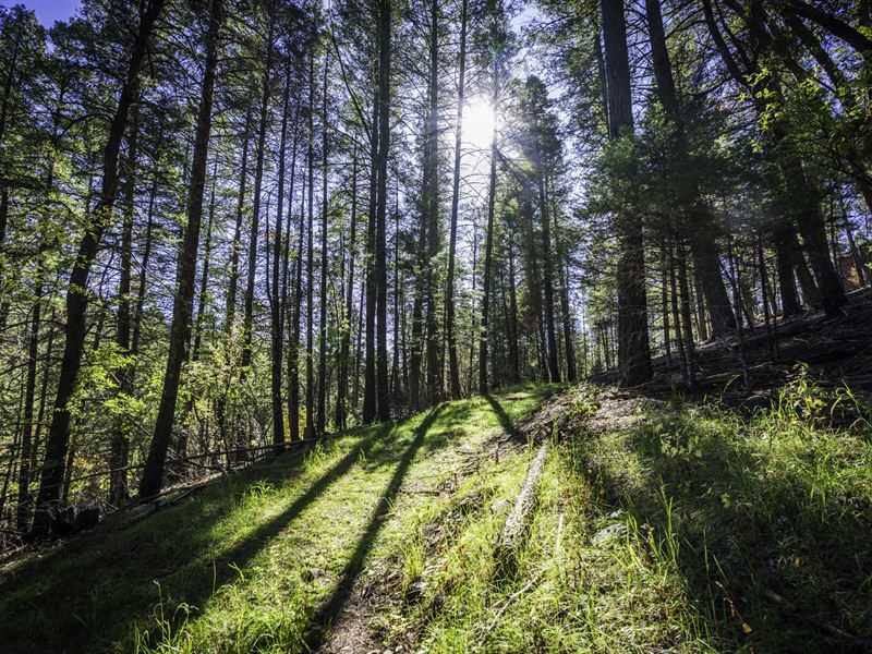 Hillside Lot, Power & Water Serv : Cloudcroft : Otero County : New Mexico