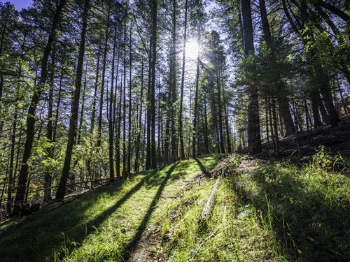 Hillside Lot, Power & Water Serv : Cloudcroft : Otero County : New Mexico