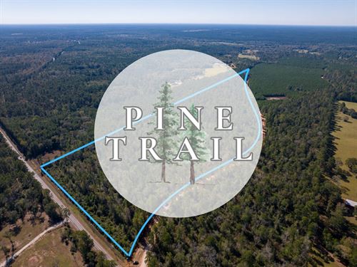 7 Acres, T-7, Eldridge Road, Pin : Cleveland : San Jacinto County : Texas