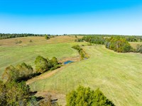 750 Acre Working Cattle Ranch : Viola : Fulton County : Arkansas