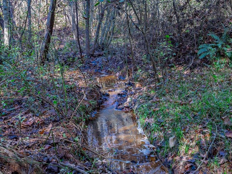 Eastanollee Oaks 45 : Eastanollee : Stephens County : Georgia