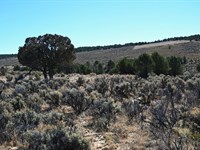 El Vado 10 : Tierra Amarilla : Rio Arriba County : New Mexico