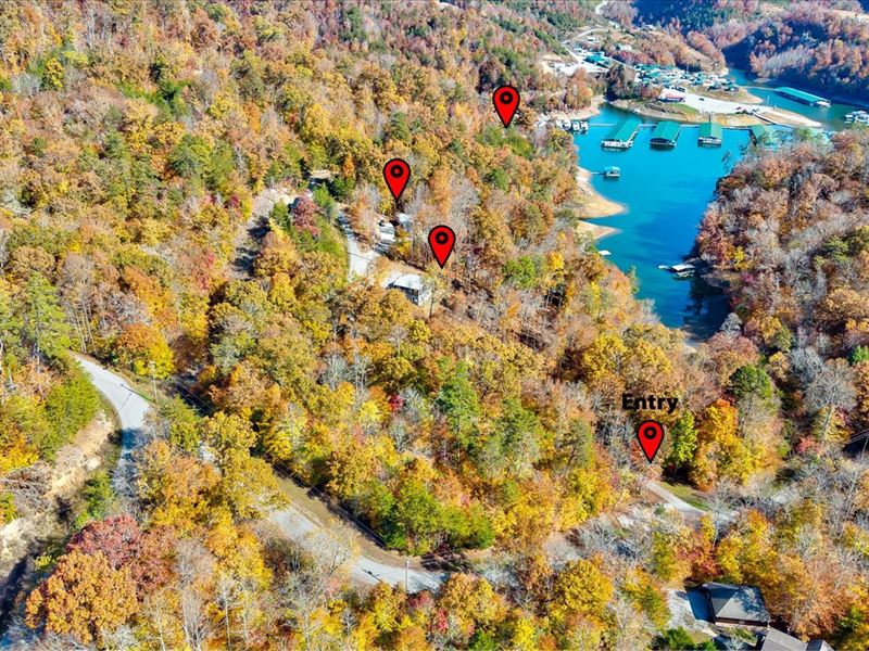 3 Homes on Norris Lake : New Tazewell : Claiborne County : Tennessee