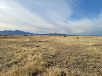 Own Luna County Land Today : Deming : Luna County : New Mexico