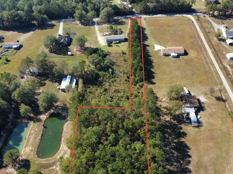 2.9 Acres Seale, AL : Seale : Russell County : Alabama
