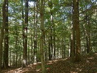 Hoopee Hill : Hartford : Ohio County : Kentucky