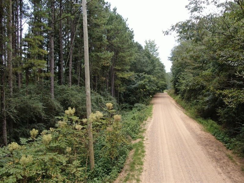 Coalfire Creek Tract B, 37 Acres : Reform : Pickens County : Alabama