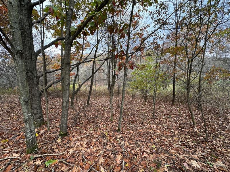 Lake Shore Dr, Stoystown, Somers : Stoystown : Somerset County : Pennsylvania