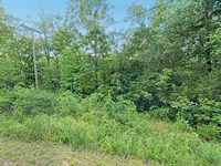Wooded 0.43 Acres Lot : Cherokee Village : Sharp County : Arkansas