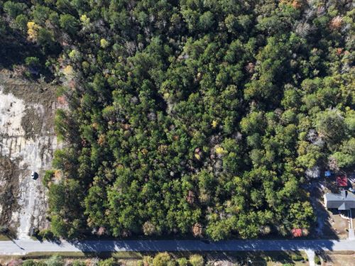 5 Acres in Dillon County SC : Lake View : Dillon County : South Carolina