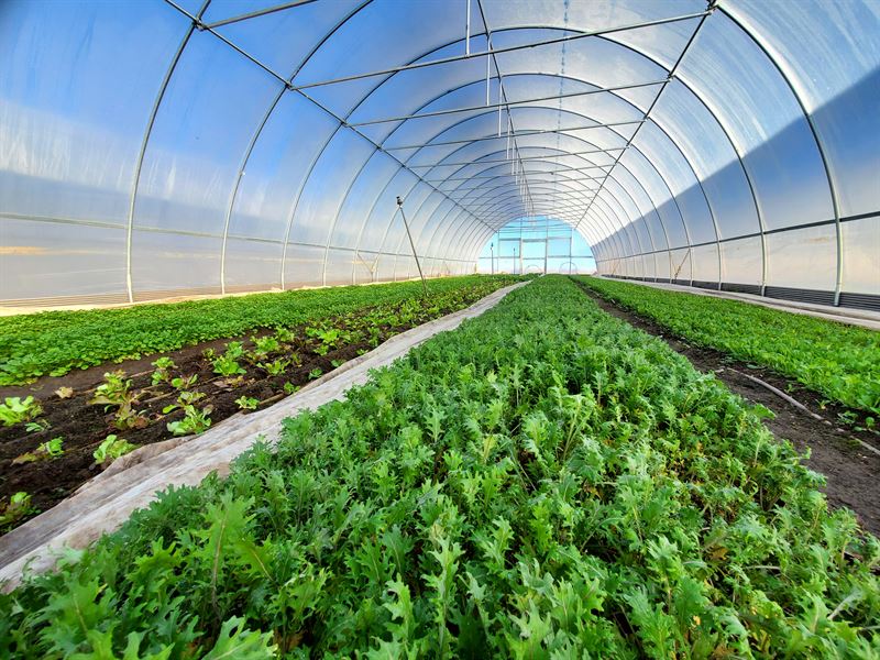 Turn-Key Regen Farm & Csa Hub in CO : Peyton : El Paso County : Colorado