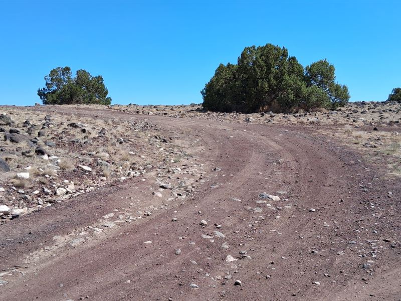 Own Desert Off-Grid Lot with View : Concho : Apache County : Arizona