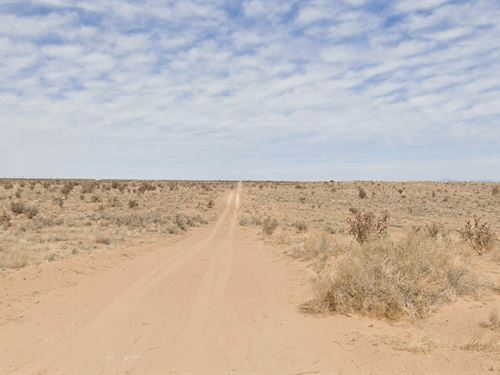 Peaceful Acre Near The City : Rio Rancho : Sandoval County : New Mexico