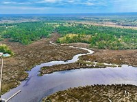 34 Acres, Little Satilla River : Waverly : Camden County : Georgia