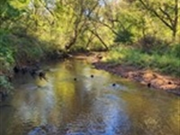 Monroe County GA 256 : Culloden : Monroe County : Georgia