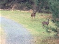 Monroe County GA 256 : Culloden : Monroe County : Georgia