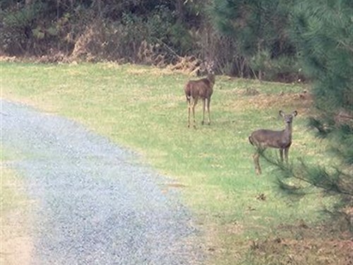 Monroe County GA 256 : Culloden : Monroe County : Georgia