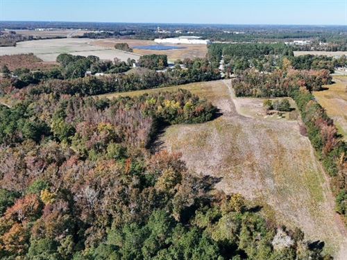 38.46 Acres of Productive Farmland : Lumberton : Robeson County : North Carolina