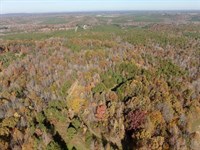40 Acres of Prime Virginia Land fo : Keeling : Pittsylvania County : Virginia