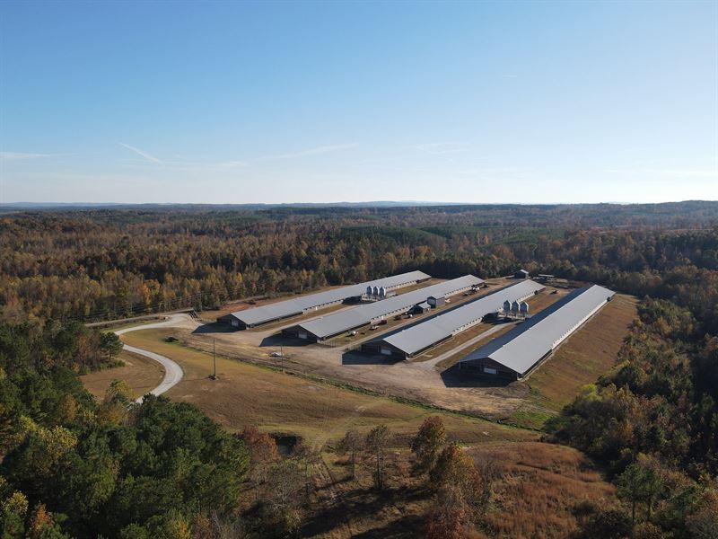 Benefield Mega Broiler Farm : Fruithurst : Cleburne County : Alabama