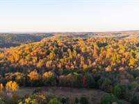 Flying M Ranch : Pangburn : Cleburne County : Arkansas