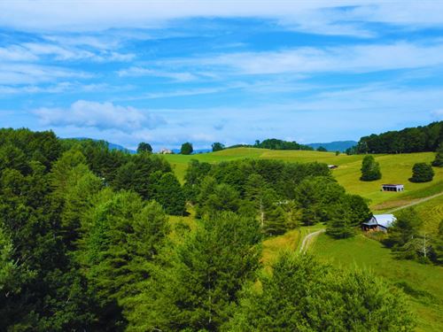 1.74 Ac Ashe NC Off-Grid : Laurel Springs : Ashe County : North Carolina